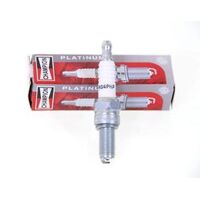 Champion RG4PHP OE122 Platinum