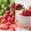 K2 Cayon Strawberry osveživač vazduha 250ml