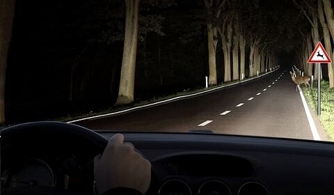 Bosch auto sijalica Gigalight Plus 150 12V H7 55W Blister