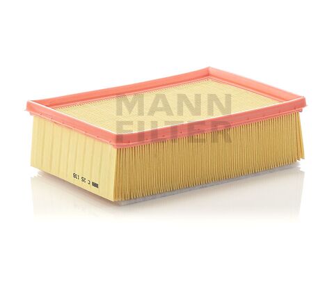 Mann C 25 136 filter vazduha Peugeot 307/Citroen C4