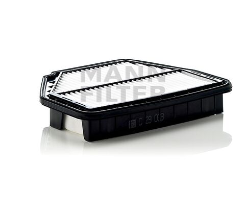 Mann C 29 008 filter vazduha Opel Antara/Chevrolet Captiva