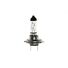 Bosch Trucklight auto sijalica 24V H7 70W