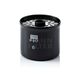 Mann P 917 X filter goriva IMT 539/Iveco Rival